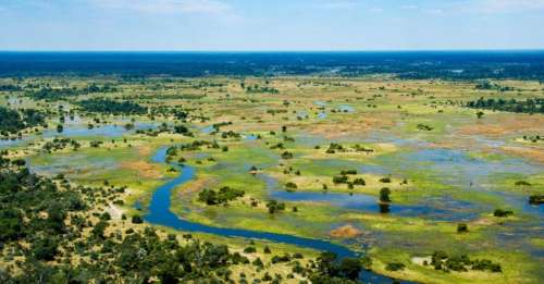 Tous les êtres humains descendraient d’une femme ayant vécu au Botswana il y a 200 000 ans