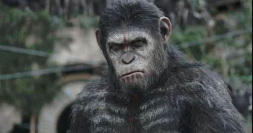 La planète des singes : Disney prépare un nouveau film