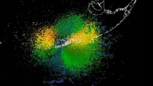 Un radar capture une nuée d’oiseaux spectaculaire en pleine migration