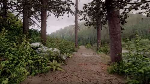 Cette forêt spectaculaire plus vraie que nature est en fait une création réalisée sur le jeu Dreams