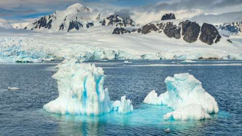 La pollution plastique envahit de plus en plus l’Antarctique