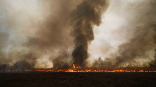 Après l’Australie, la Sibérie est à son tour victime d’incendies d’une ampleur sans précédent