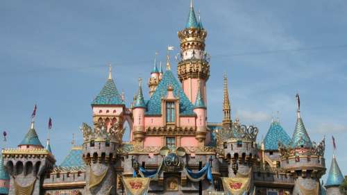 Le saviez-vous ? 200 chats ont élu domicile à Disneyland en Californie pour chasser les rongeurs