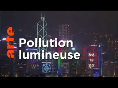 La pollution lumineuse a un impact dangereux sur les hommes et les insectes