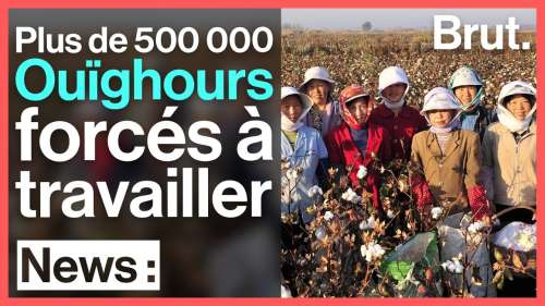 500 000 Ouïghours forcés de travailler dans des champs de coton par les autorités chinoises pour un salaire misérable