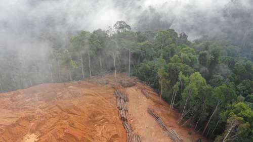 La déforestation en Amazonie brésilienne à son plus haut niveau depuis 2008