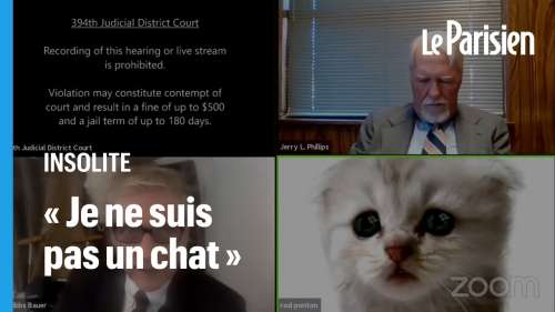 Lors d’une visioconférence sur Zoom, un avocat se retrouve coincé derrière un filtre chat