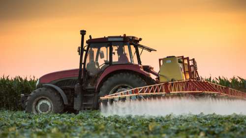 Les pesticides augmentent le risque de leucémie aiguë, selon une étude