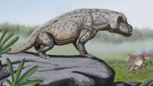Des millions d’années avant les dinosaures, l’antéosaure était une véritable machine à tuer