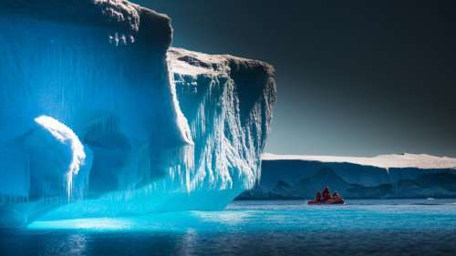 Antarctique : découverte de créatures marines piégées sous la glace depuis 50 ans