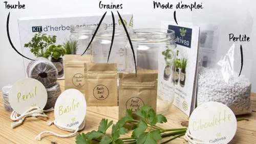 Faites pousser vos propres herbes aromatiques grâce à ce jardin potager d’intérieur à 24,90 €