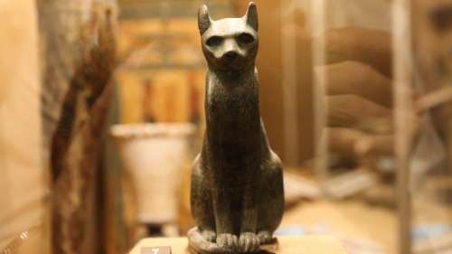 Les chats sont invités à visiter cette exposition sur l’Égypte ancienne en Chine