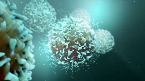 Cette nouvelle forme d’immunothérapie prend le cancer à son propre jeu pour mieux l’éradiquer