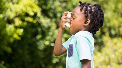 Un vaccin historique contre l’asthme en passe d’être testé sur l’Homme