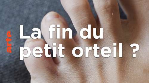 Et si notre petit doigt de pied disparaissait avec l’évolution ?