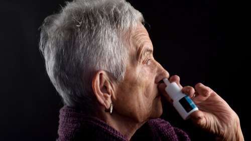 Des chercheurs japonais créent un spray nasal prometteur pour prévenir la démence