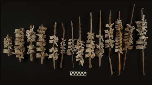 Des « brochettes » de vertèbres humaines découvertes dans des tombes vieilles de 500 ans au Pérou