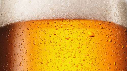 Des scientifiques créent enfin une bière sans alcool ayant le même goût que la vraie