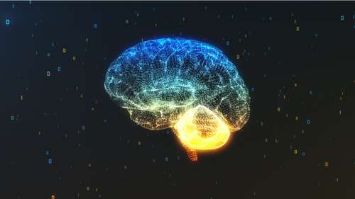 L’activité cérébrale d’une personne en train de mourir a été enregistrée pour la première fois