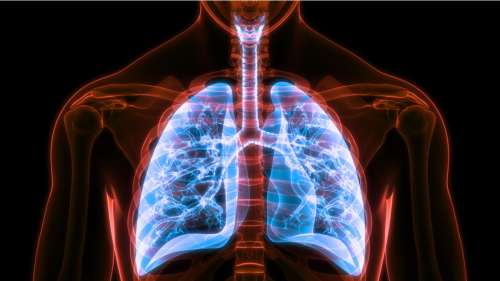 Des microplastiques découverts pour la première fois dans les poumons de personnes vivantes