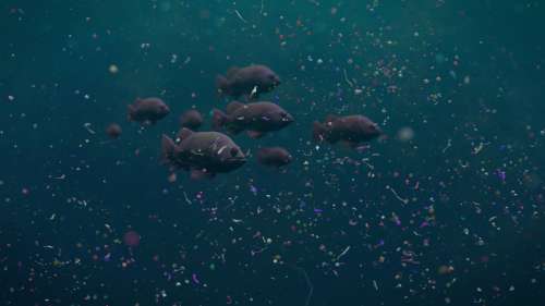 Des scientifiques dévoilent un robot-poisson pour nettoyer les océans des microplastiques