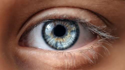 Quelles sont les causes de la perte de vision ?