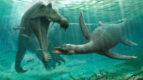 Des découvertes fossiles rendent l’existence passée du monstre du loch Ness « plausible »