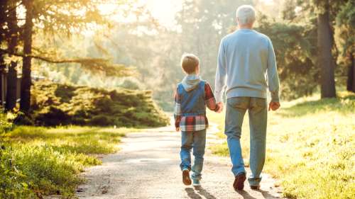 Une étude pionnière établit un lien causal entre promenades dans la nature et réduction du stress