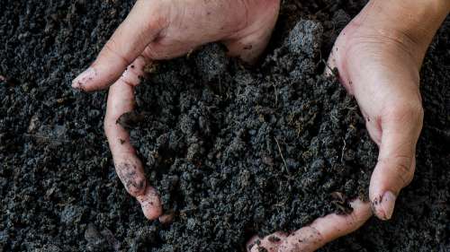 Le “compost humain” vient d’être légalisé en Californie