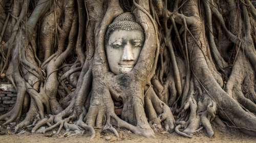 Des dizaines de temples perdus et structures bouddhistes millénaires découverts au cœur de l’Inde