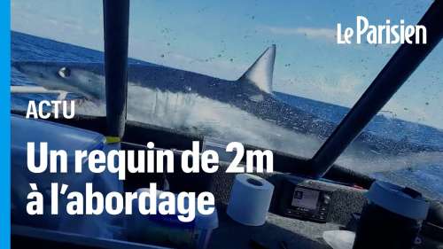 Un énorme requin mako de 2 mètres saute sur un bateau de pêche