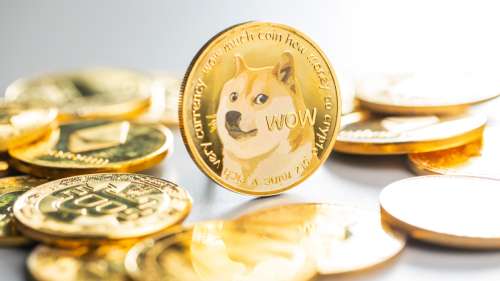 L’histoire de la chienne qui est devenue un mème Internet et qui a inspiré le « Dogecoin »