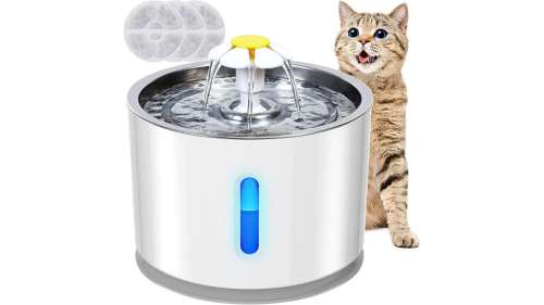 Cette fontaine à eau va faire le bonheur de votre chat