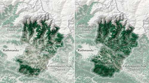 Comment le Népal a retrouvé ses forêts ?