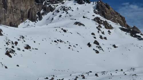 Un loup pourchassant une harde de chamois aperçu par des skieurs dans les Alpes