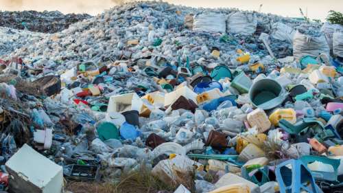 Pollution plastique : ces champignons voraces pourraient résoudre le problème du polypropylène