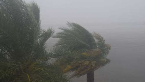 5 catastrophes climatiques qui nous montrent ce qui nous attend si nous ne faisons rien