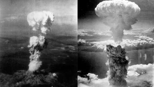 Le saviez-vous ? Face à l’explosion de la bombe atomique d’Hiroshima, un arbre a survécu