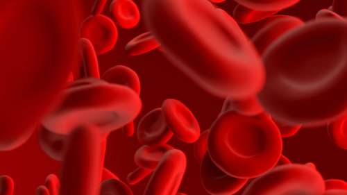 Qu’est-ce que la drépanocytose, cette terrible maladie qui affecte les globules rouges ?