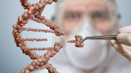 Des scientifiques insèrent un gène néandertalien et dénisovien dans des souris