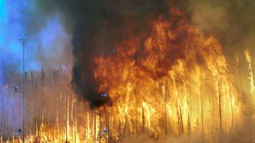 Le Canada en proie aux flammes : un désastre écologique et sanitaire