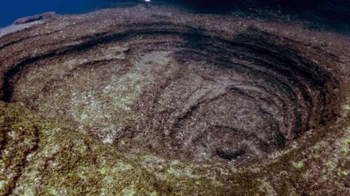 Des scientifiques découvrent un volcan sous-marin actif couvert de milliers d’oeufs géants