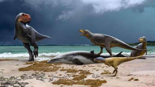 Des cousins du T. rex vieux de 69 millions d’années découverts au Maroc