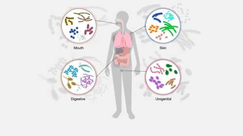 10 idées reçues complètement fausses sur le microbiote intestinal