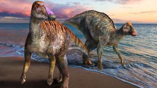 Hadrosaurus, le dinosaure à bec de canard qui a marqué l’histoire