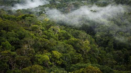 La cartographie laser révèle un patrimoine archéologique caché sous la forêt amazonienne