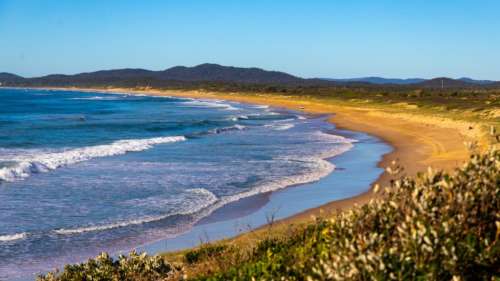 Les boules noires retrouvées sur des plages en Australie sont composées d’excréments humains