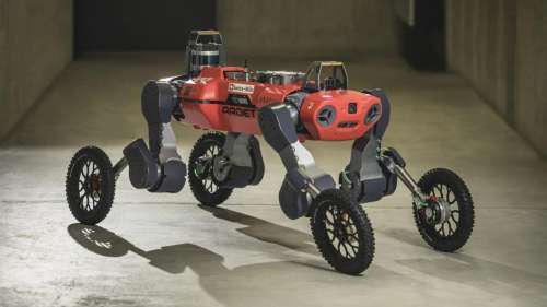 Vous allez être ébahi par les capacités de ce robot quadrupède