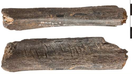 Cet os d’ours gravé est sans doute le plus ancien exemple de la culture néandertalienne