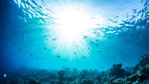 Les scientifiques découvrent enfin l’origine des canicules marines dans l’océan Pacifique